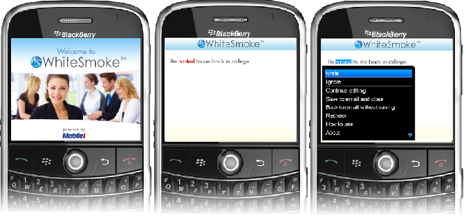 WhiteSmoke on BlackBerry
