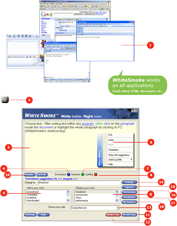 WhiteSmoke Enrichment screenshot